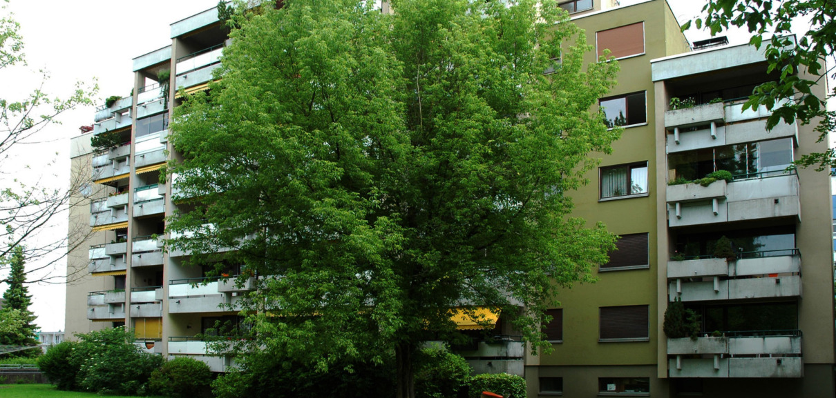 Bregenz Holzackergasse Ansicht 1