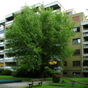 Bregenz Holzackergasse Ansicht 1